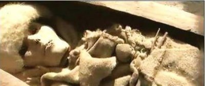 ​古楼兰女尸(3800年楼兰美女古尸)