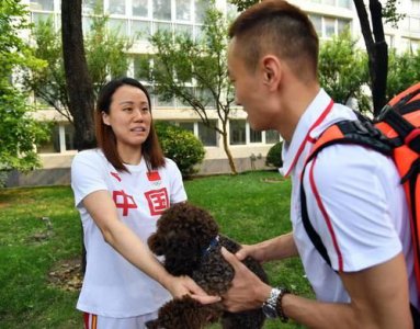 ​张楠赵云蕾结婚了吗(张楠赵云蕾里约奥运会)