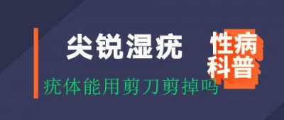 ​治疗尖锐湿大概要花多长时间