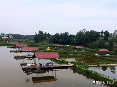 ​小龙虾养殖方法和环境(小龙虾的生长环境)