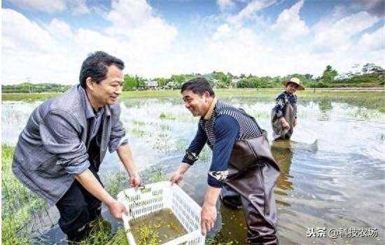 小龙虾养殖方法和环境(小龙虾的生长环境)