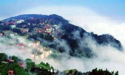 ​全球未解之谜 哪些传说的生物是已被证实存在的