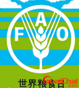 ​世界粮食日是哪一天 世界粮食日的日期