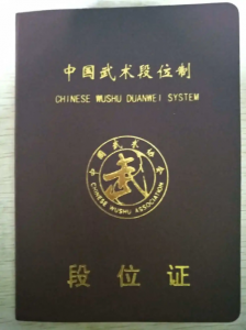 ​中国武术段位制什么时候开始有的