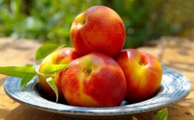 ​怀孕能吃油桃吗前三个月？怀孕能吃油桃吗中期