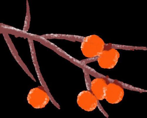 阴历今天多少号了(今天多少号了几月几号)-第1张图片-