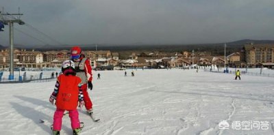​吉林林海雪原蓝莓冰酒价格_吉林林海雪原纯粮100