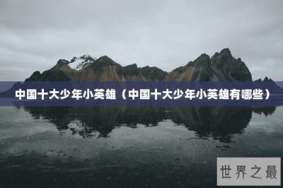 ​中国十大少年小英雄（中国十大少年小英雄有哪些）