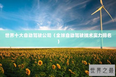 ​世界十大自动驾驶公司（全球自动驾驶技术实力排名）