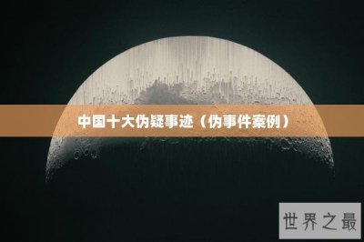 ​中国十大伪疑事迹（伪事件案例）