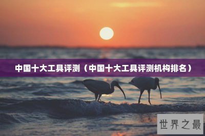​中国十大工具评测（中国十大工具评测机构排名）