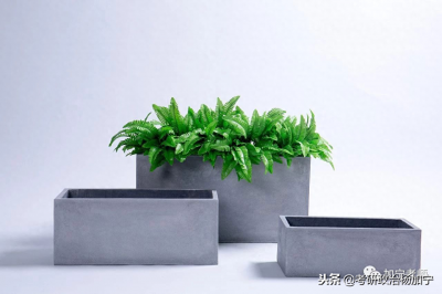 ​「干货投喂」中国近现代史21位人物总结