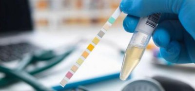 ​西凤贵酒多钱一瓶(西凤牡丹酒45度多少钱一瓶)