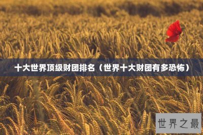 ​十大世界顶级财团排名（世界十大财团有多恐怖）