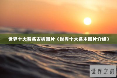 ​世界十大着名古树图片（世界十大名木图片介绍）
