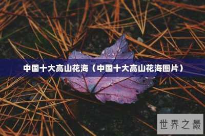 ​中国十大高山花海（中国十大高山花海图片）