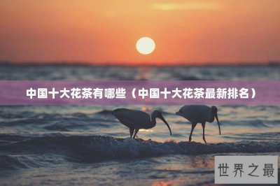 ​中国十大花茶有哪些（中国十大花茶最新排名）