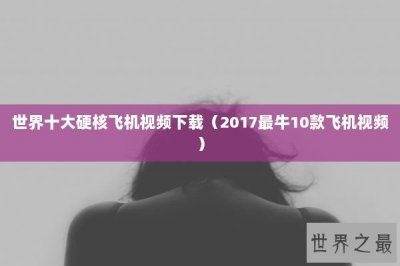 ​世界十大硬核飞机视频下载（2017最牛10款飞机视频）