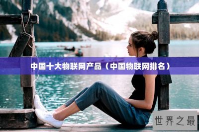 ​中国十大物联网产品（中国物联网排名）