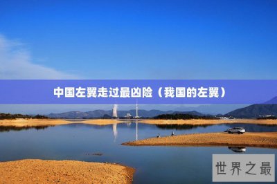 ​中国左翼走过最凶险（我国的左翼）
