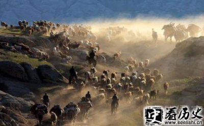 ​盘庚迁殷事件的历史影响多大