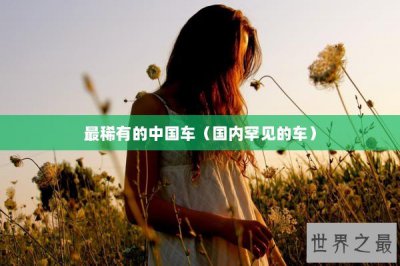 ​最稀有的中国车（国内罕见的车）