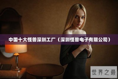 ​中国十大怪兽深圳工厂（深圳怪兽电子有限公司）