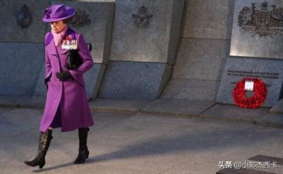 ​mirto是什么酒