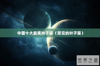 ​中国十大最美叶子菜（常见的叶子菜）