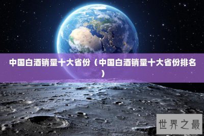 ​中国白酒销量十大省份（中国白酒销量十大省份排名）