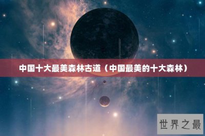 ​中国十大最美森林古道（中国最美的十大森林）