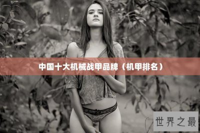 ​中国十大机械战甲品牌（机甲排名）