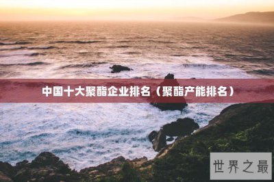 ​中国十大聚酯企业排名（聚酯产能排名）
