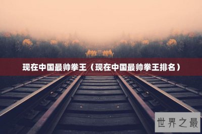 ​现在中国最帅拳王（现在中国最帅拳王排名）