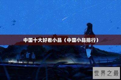 ​中国十大好看小品（中国小品排行）