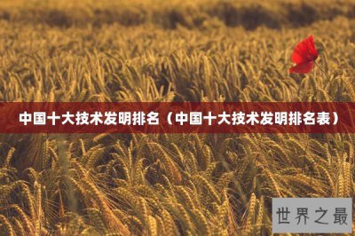 ​中国十大技术发明排名（中国十大技术发明排名表）