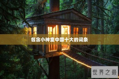 ​包含小神童中国十大的词条