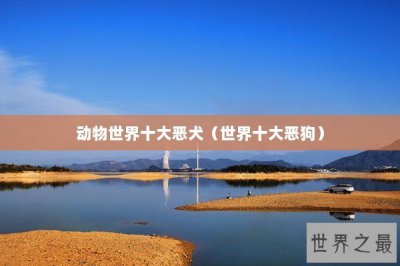 ​动物世界十大恶犬（世界十大恶狗）