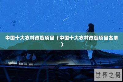 ​中国十大农村改造项目（中国十大农村改造项目名单）