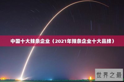 ​中国十大辣条企业（2021年辣条企业十大品牌）