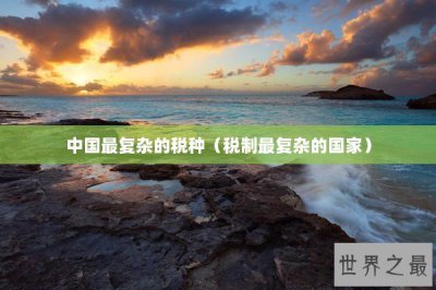​中国最复杂的税种（税制最复杂的国家）