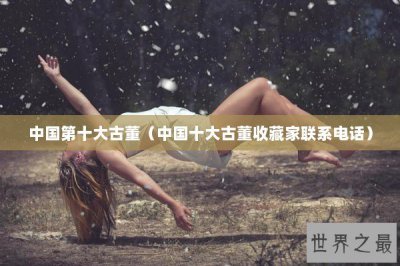 ​中国第十大古董（中国十大古董收藏家联系电话）
