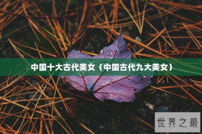 ​中国十大古代美女（中国古代九大美女）