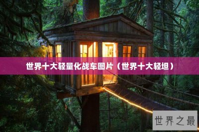 ​世界十大轻量化战车图片（世界十大轻坦）