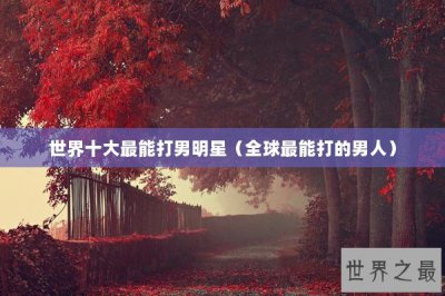 ​世界十大最能打男明星（全球最能打的男人）