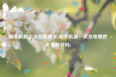​新手机前三次充电要求(新手机第一次充电要把电量耗尽吗)