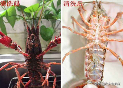 ​小龙虾怎么清洗最干净（小龙虾怎样清洗才干净？照着做并不难）