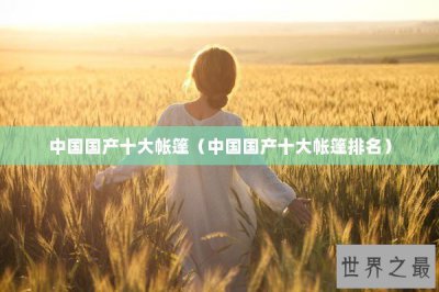 ​中国国产十大帐篷（中国国产十大帐篷排名）