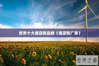 ​世界十大酒店锁品牌（酒店锁厂家）
