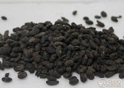 ​淡豆豉的功效与作用 淡豆豉的功效与作用